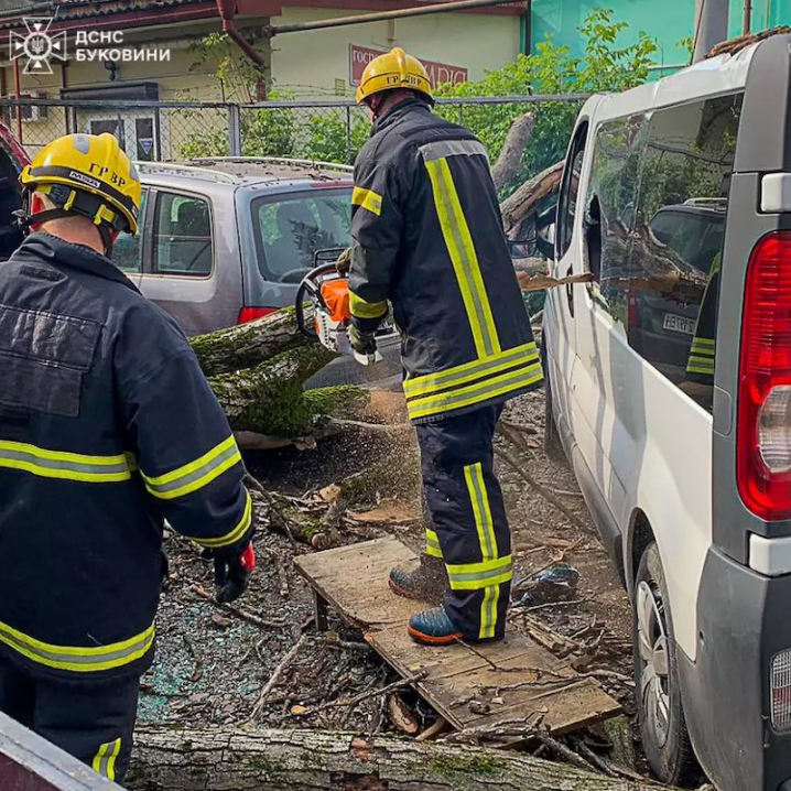 У Чернівцях на вулиці Головній впало дерево і понівечило 3 автівки