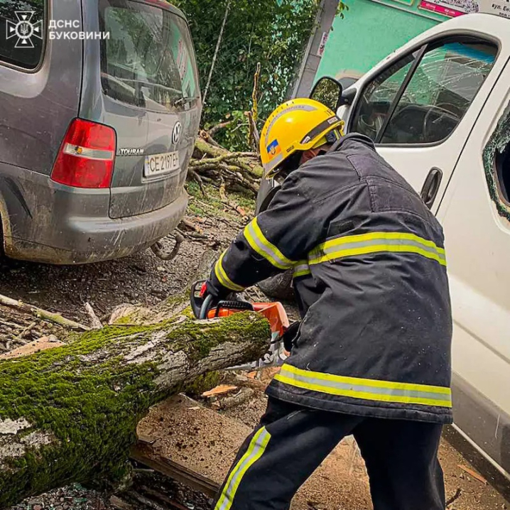 У Чернівцях на вулиці Головній впало дерево і понівечило 3 автівки