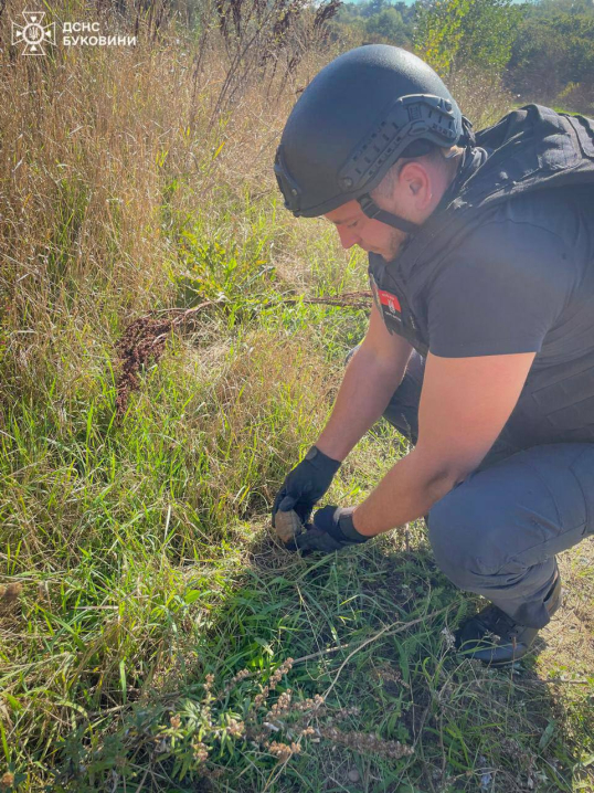 Поблизу Герци піротехніки вилучили ручну гранату часів Другої світової війни