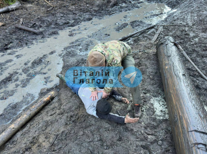 Різали шини поліцейським та тікали горами: на Закарпатті затримали осіб, які вирубали лісу на 40 млн грн