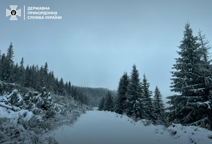 Карпати засипає снігом: прикордонники опублікували фото від яких віє морозом