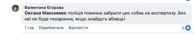 Жорстокість без меж: у Глибоці невідомі розстріляли безхатніх собак