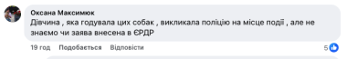 Жорстокість без меж: у Глибоці невідомі розстріляли безхатніх собак