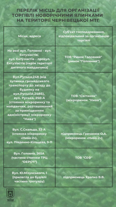 Де купити новорічну ялинку в Чернівцях: відсьогодні працюють офіційні точки продажу