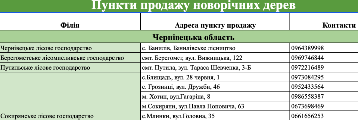 У лісництвах Чернівецької області можна дешевше придбати новорічну ялинку: адреси ярмарків