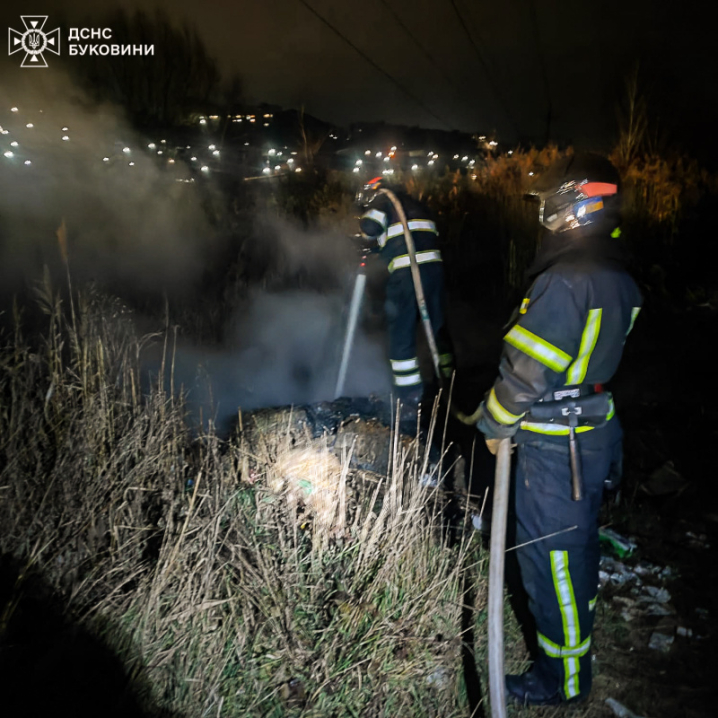 У Чернівцях розгорівся сухостій, невідомі підпалили сміття