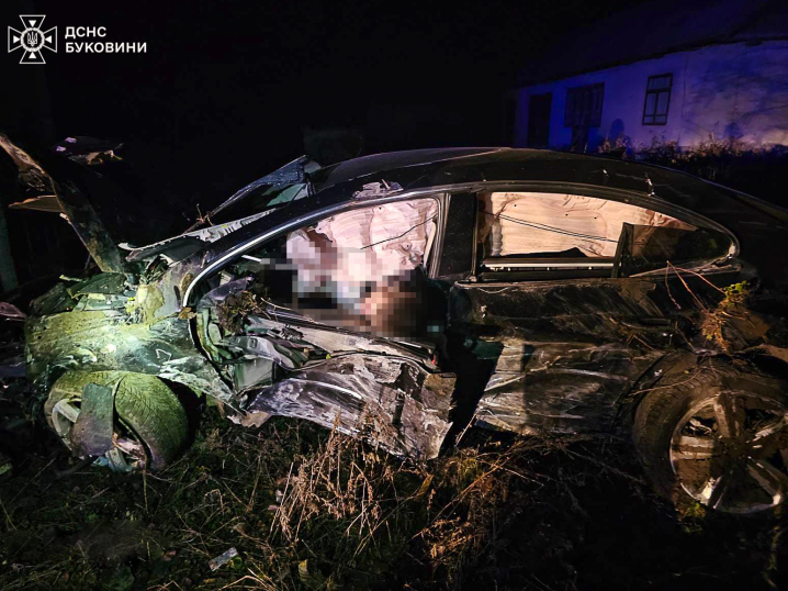 Тіло загиблого вирізали з авто: на Буковині водій врізався у дерево і загинув