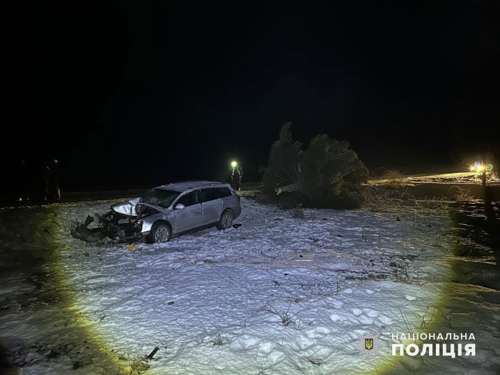 На Буковині п'яна водійка влетіла в дерево: травмувалися пасажирки