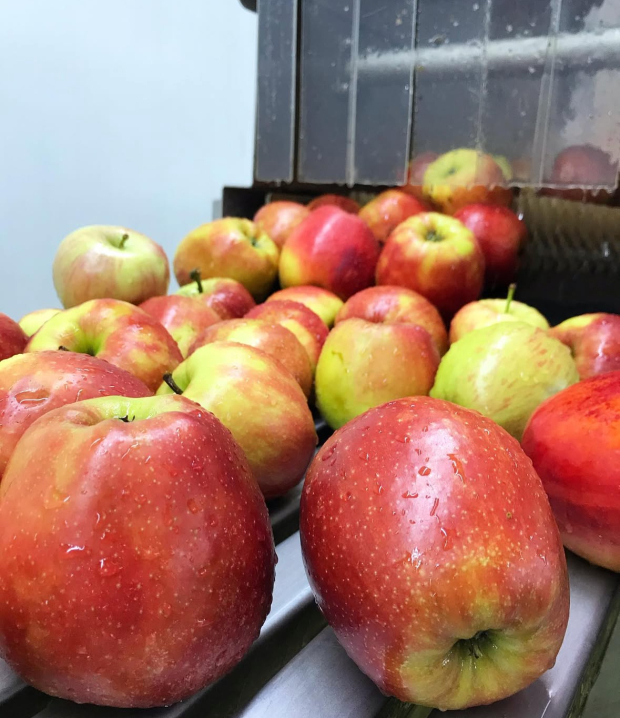 Крафтовий сік із Недобоївців: як буковинське виробництво працює для громади і фронту Крафтовий сік із Недобоївців: як буковинське виробництво працює для громади і фронту