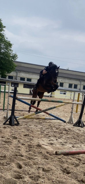 У сідлі з дитинства: як Анастасія Бережинська розвиває кінний спорт у Чернівцях У сідлі з дитинства: як Анастасія Бережинська розвиває кінний спорт у Чернівцях