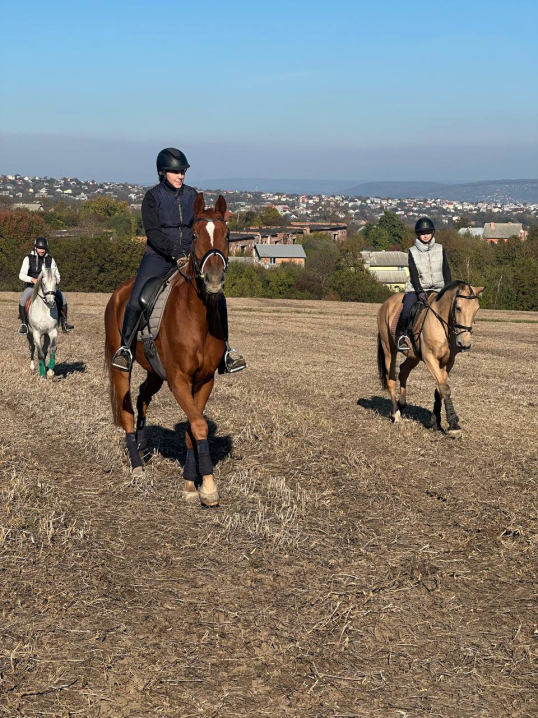 У сідлі з дитинства: як Анастасія Бережинська розвиває кінний спорт у Чернівцях У сідлі з дитинства: як Анастасія Бережинська розвиває кінний спорт у Чернівцях