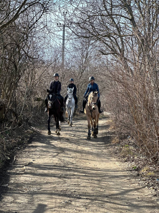 У сідлі з дитинства: як Анастасія Бережинська розвиває кінний спорт у Чернівцях У сідлі з дитинства: як Анастасія Бережинська розвиває кінний спорт у Чернівцях