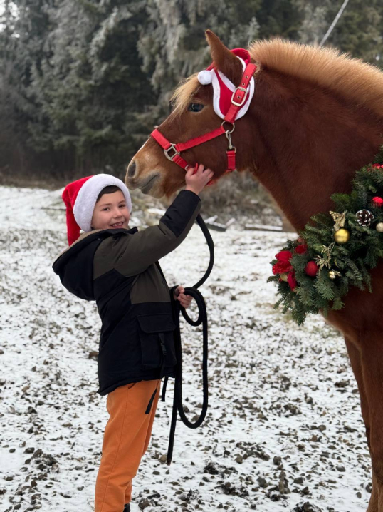 У сідлі з дитинства: як Анастасія Бережинська розвиває кінний спорт у Чернівцях У сідлі з дитинства: як Анастасія Бережинська розвиває кінний спорт у Чернівцях