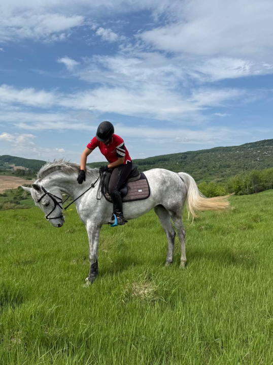 У сідлі з дитинства: як Анастасія Бережинська розвиває кінний спорт у Чернівцях У сідлі з дитинства: як Анастасія Бережинська розвиває кінний спорт у Чернівцях