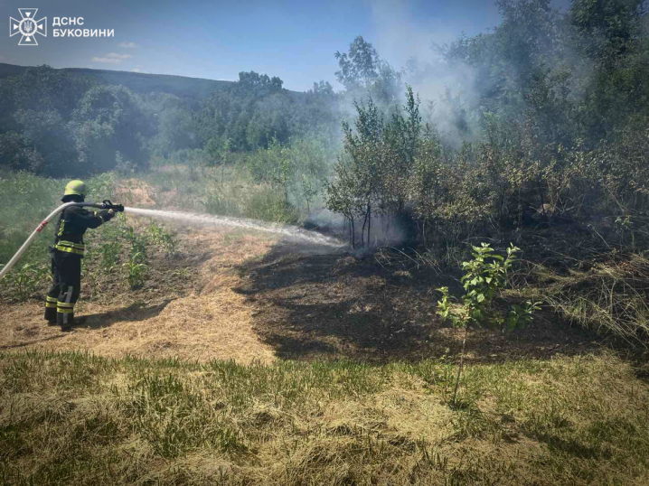 У Чернівецькій області вогнеборці за добу ліквідували 2 пожежі У Чернівецькій області вогнеборці за добу ліквідували 2 пожежі