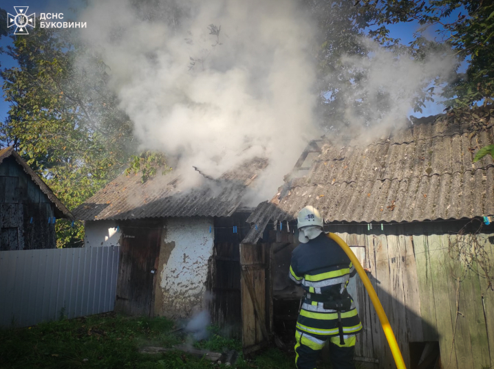 На Буковині вогонь знищив дві господарські будівлі