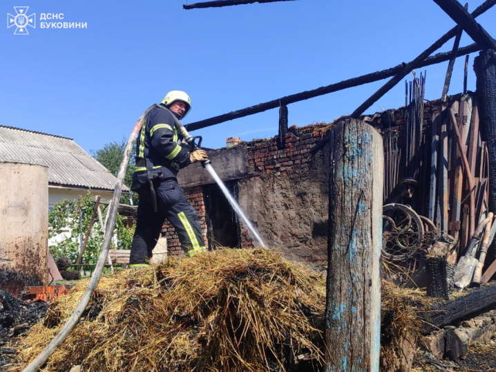 На Буковині вогонь знищив дві господарські будівлі