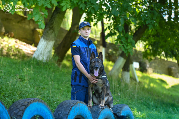 Чернівецька рятувально-пошукова собака Кола виборола перше місце на змаганнях Чернівецька рятувально-пошукова собака Кола виборола перше місце на змаганнях
