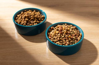 Как подобрать сухой корм для собаки по возрасту и активности