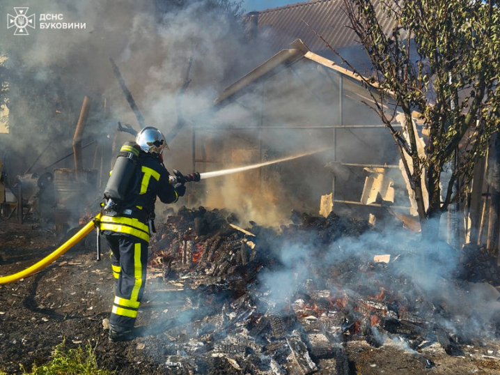 На Буковині надзвичайники ліквідували дві пожежі у житловому секторі На Буковині надзвичайники ліквідували дві пожежі у житловому секторі