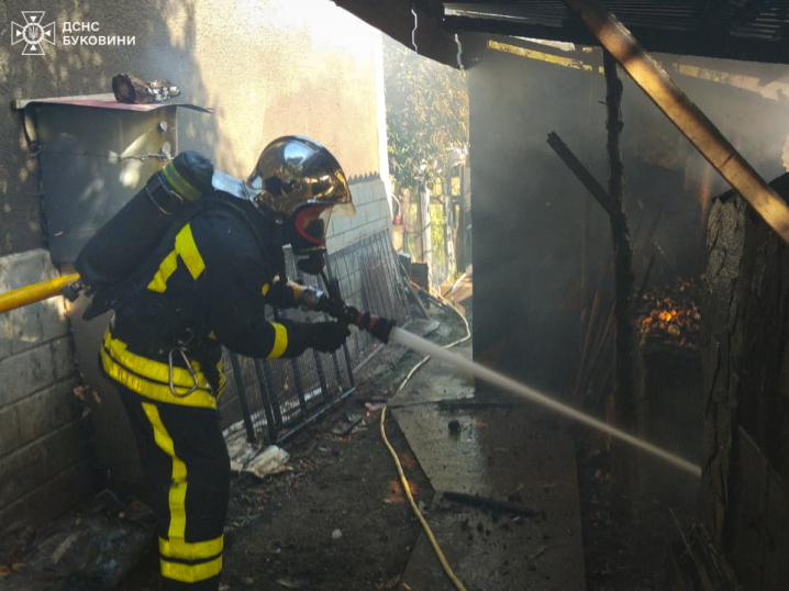 На Буковині надзвичайники ліквідували дві пожежі у житловому секторі На Буковині надзвичайники ліквідували дві пожежі у житловому секторі