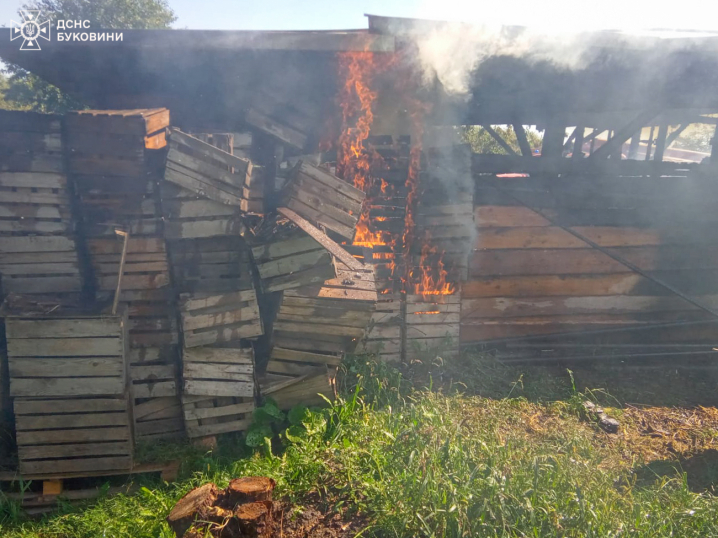 У Малинцях горіла будівля із сушаркою фруктів У Малинцях горіла будівля із сушаркою фруктів