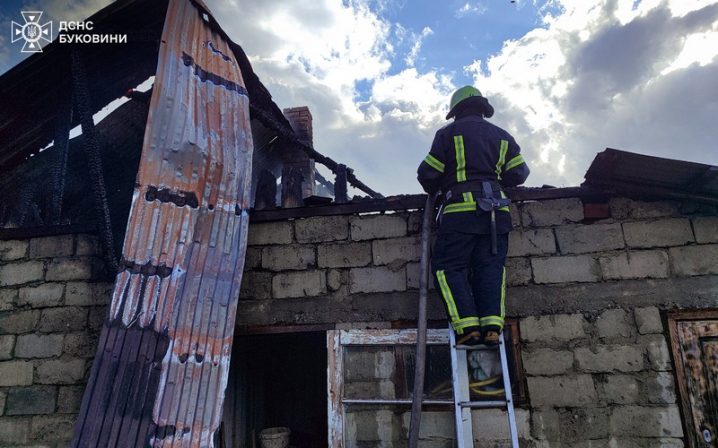На Буковині вогонь знищив господарську будівлю