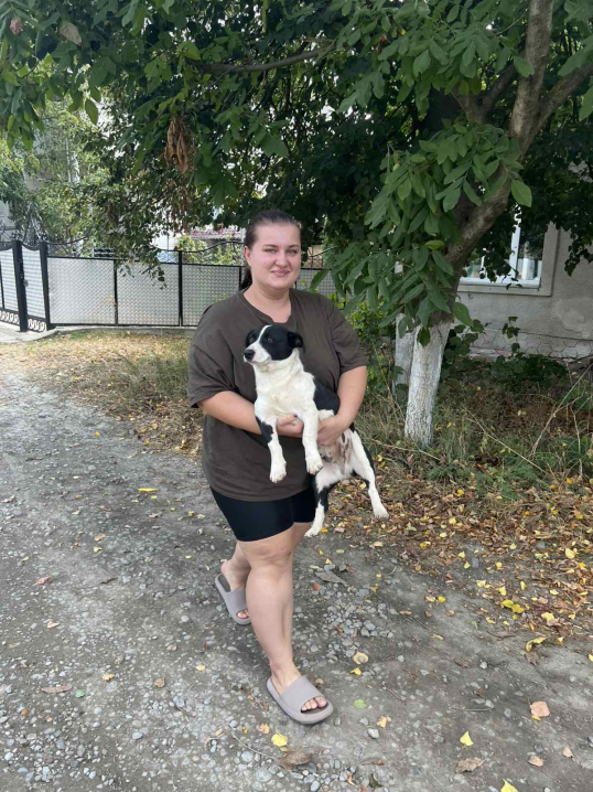 У Новоселицькій громаді завершили програму зі стерилізації безпритульних тварин