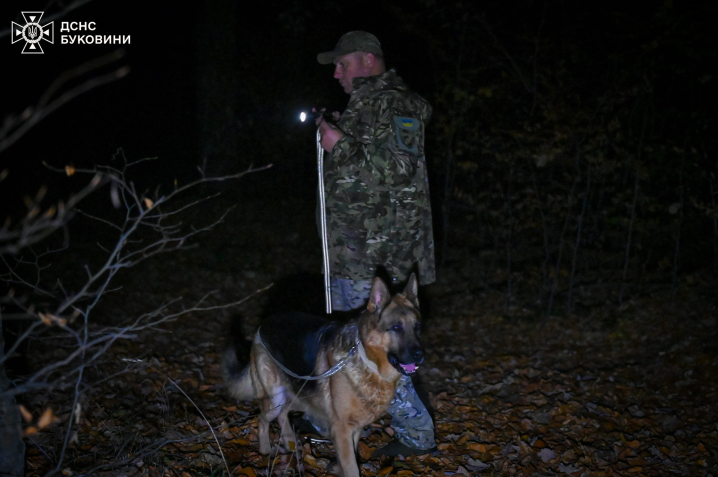 Поблизу Чернівців 66-річна жінка заблукала і провела ніч у лісі