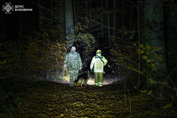 Поблизу Чернівців 66-річна жінка заблукала і провела ніч у лісі