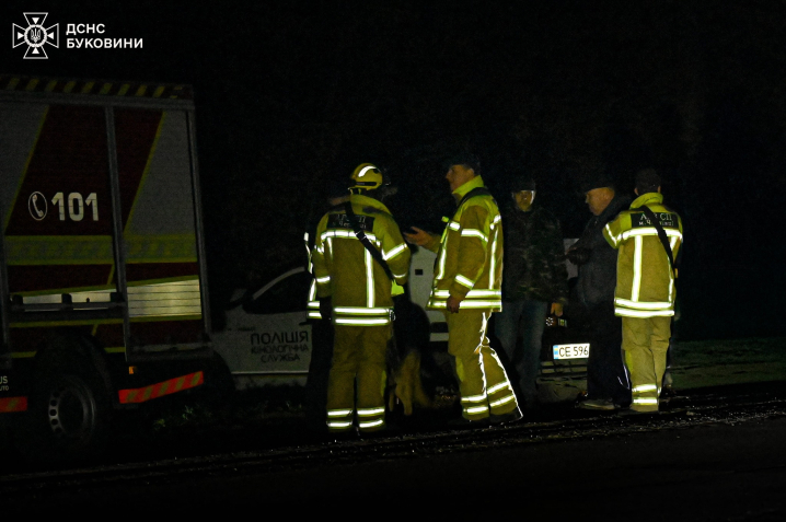 Поблизу Чернівців 66-річна жінка заблукала і провела ніч у лісі