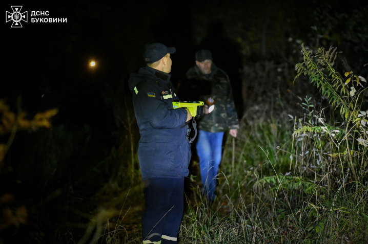 Поблизу Чернівців 66-річна жінка заблукала і провела ніч у лісі