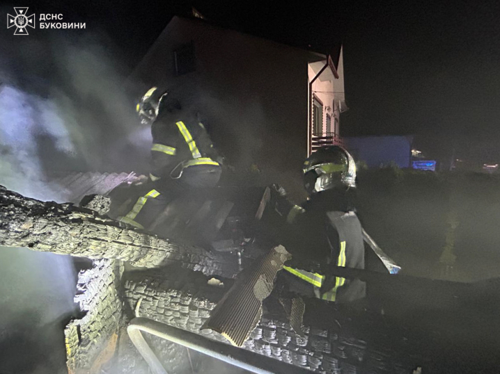 У Чернівцях з пожежі врятували кішку з кошенятами