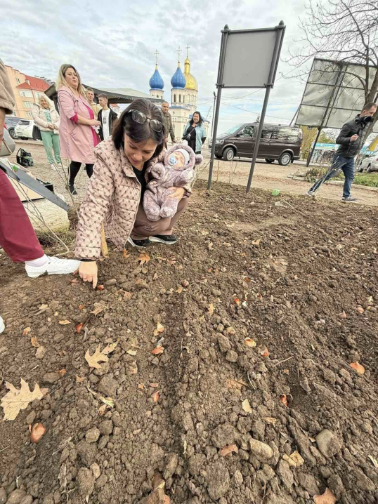 У Кіцмані висадили тисячу цибулин тюльпанів