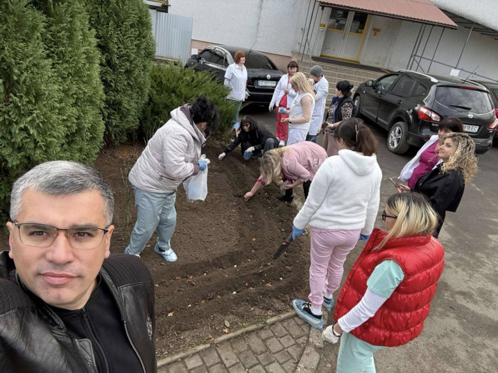 У Кіцмані висадили тисячу цибулин тюльпанів