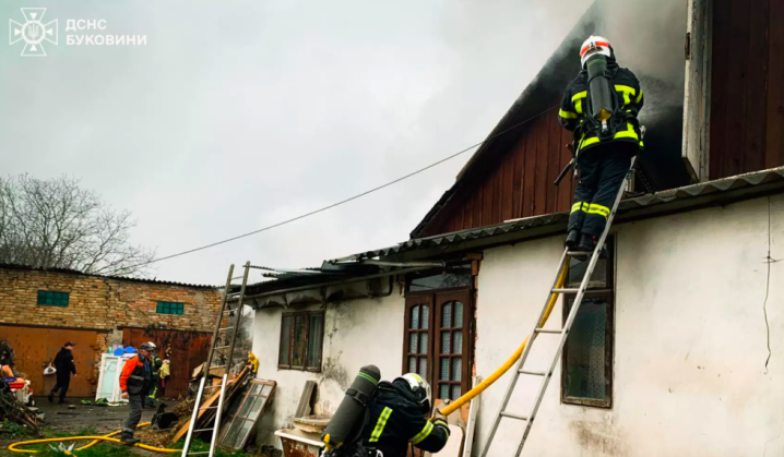 У Чернівцях медики реанімували цуценя, яке постраждало під час пожежі