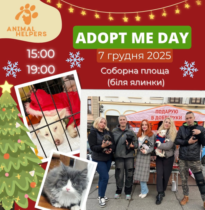 У Чернівцях до Дня Миколая проведуть «Adopt Me Day» для тварин, що шукають дім У Чернівцях до Дня Миколая проведуть «Adopt Me Day» для тварин, що шукають дім