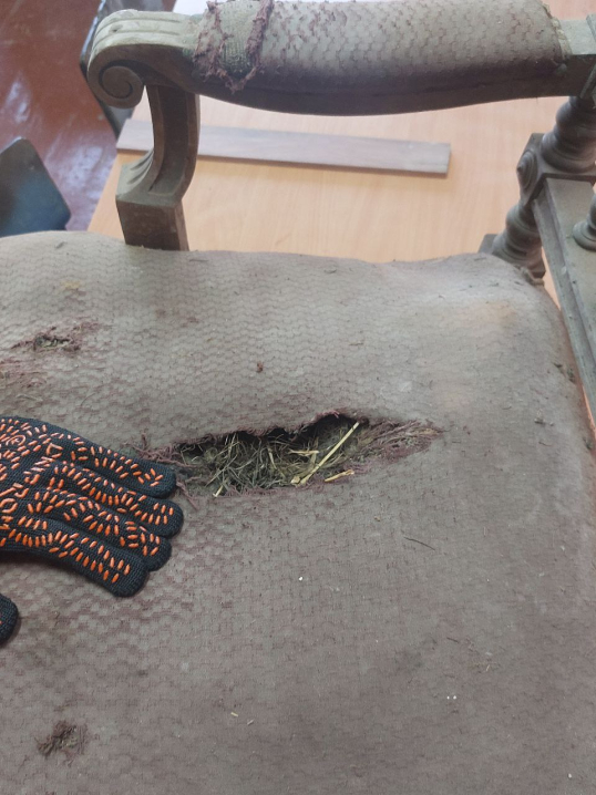 Меблеве мистецтво Буковини. Науковець Остап Курик про унікальні крісла кінця ХІХ століття митрополита Буковини і Далмації Меблеве мистецтво Буковини. Науковець Остап Курик про унікальні крісла кінця ХІХ століття митрополита Буковини і Далмації