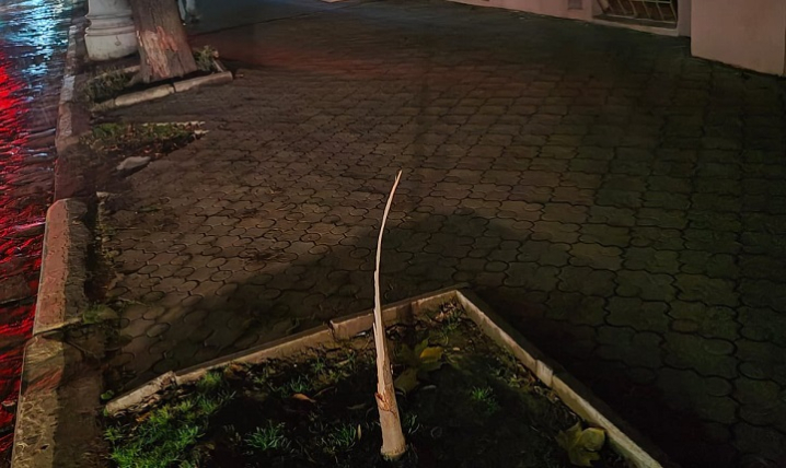 У Чернівцях на балконі багатоповерхівки згорів генератор У Чернівцях на балконі багатоповерхівки згорів генератор