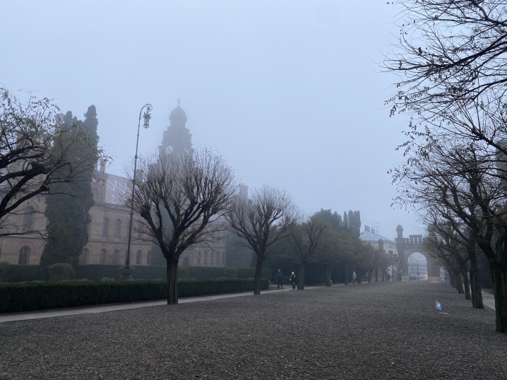 Під вечір на вулиці Чернівців ліг густий туман