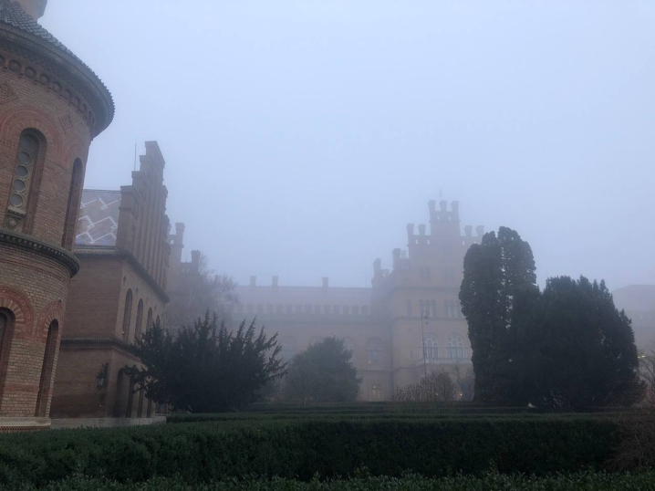 Під вечір на вулиці Чернівців ліг густий туман