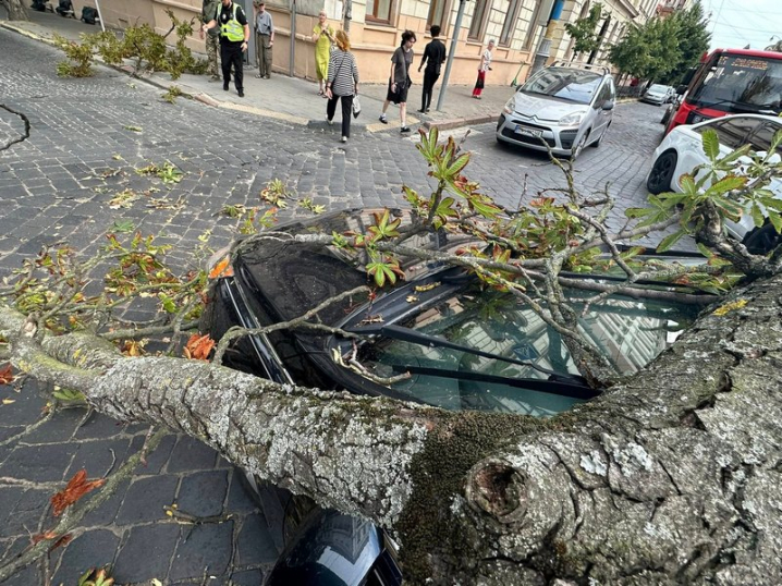 У Чернівцях активіст виграв суд у «Зелентресту» через впавшу гілку на його автомобіль У Чернівцях активіст виграв суд у «Зелентресту» через впавшу гілку на його автомобіль