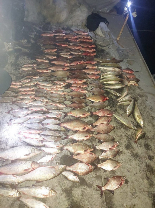 У Чернівецькій області на Дністрі браконьєр наловив риби майже на 400 тисяч гривень У Чернівецькій області на Дністрі браконьєр наловив риби майже на 400 тисяч гривень