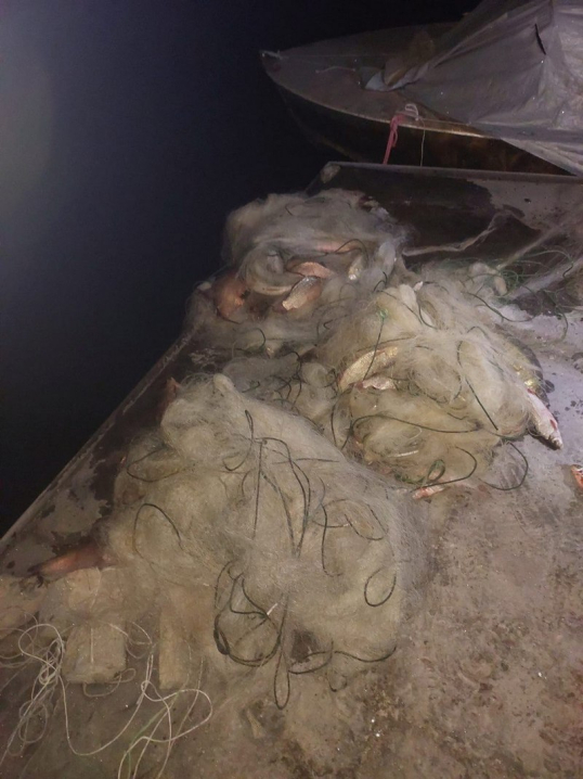 У Чернівецькій області на Дністрі браконьєр наловив риби майже на 400 тисяч гривень У Чернівецькій області на Дністрі браконьєр наловив риби майже на 400 тисяч гривень