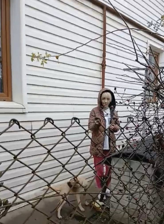 «Обходьте десятою дорогою»: у Чернівцях клієнтка собачого готелю заявляє про приховування смерті тварини