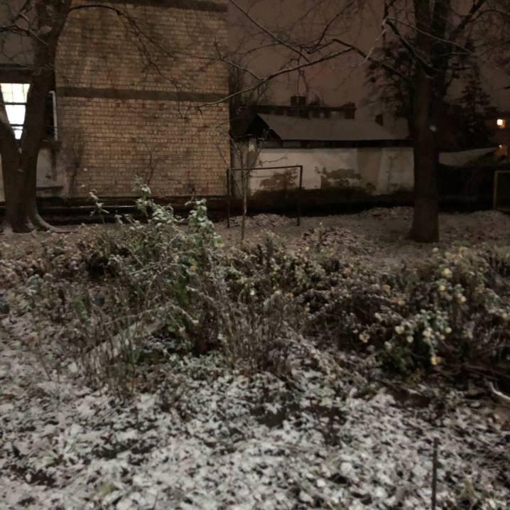 У Чернівцях напередодні Різдва випав перший сніг