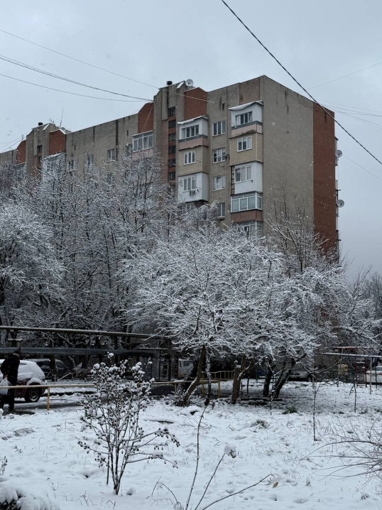 Різдвяна казка: Чернівці вперше засипало снігом