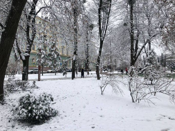 Різдвяна казка: Чернівці вперше засипало снігом