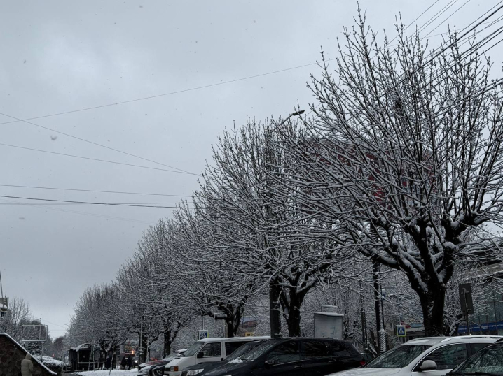 Різдвяна казка: Чернівці вперше засипало снігом