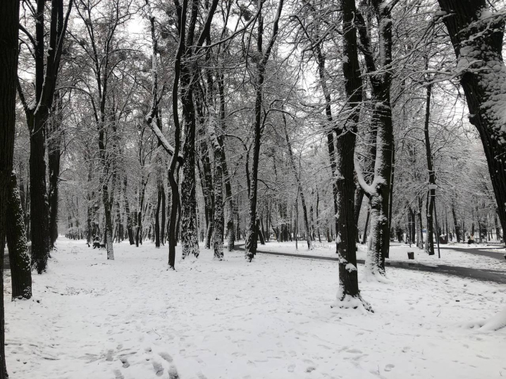Різдвяна казка: Чернівці вперше засипало снігом